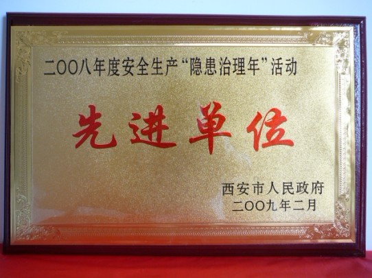 2009年2月，被西安市人民政府评为2008年度安全生产“隐患治理年”活动先进单位